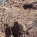 새봄농장(2) 이미지