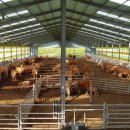 중우농장 이미지