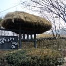 참나무쟁이 이미지