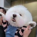 방어진건어물 이미지