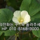세종루 이미지