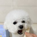 요거츄