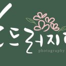 흐드러지다스튜디오 이미지