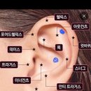 피어싱 두께.. 6mm or 8 mm 뭐가 나을까 이미지