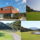 대국골프 이미지