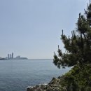 이기대공원(큰고개쉼터) | 부산핫플소개3탄-1영도태종대빰치는 이기대해안산책로