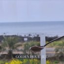 골든아워제주 이미지