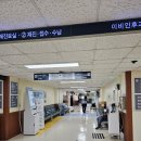 국립중앙의료원 | 아프리카 여행 준비 황열병 접종 - 서울 국립중앙의료원 예약 및 비용, 접종 후기