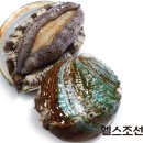 오리와 장어 이미지