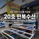 강릉 사천진 해수욕장 자연산 수산물 직판장 횟집 추천, 아이들이 더 좋아했던 20호 만복수산