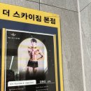 스카이 피티 | 더스카이짐 본점 피티 체험 솔직 후기 쾌적한 분위기 속 알찬 운동