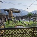 베일리애견풀빌라펜션 | <가평애견펜션> 베일리 애견풀빌라 후기!