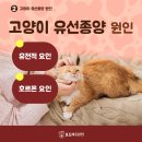 형곡동물병원 이미지