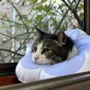 유석동물병원 이미지