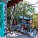 CNN선정 가을에 가장 아름다운 천년사찰" 일출, 일몰에 단풍까지 완벽한 사찰 명소 이미지