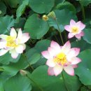 사상보건소 이미지