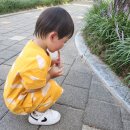 하대어린이집 | 여름 필수 육아템! 유아 모기기피제 ❤️&lt;모기기피제 이카리딘 브라운&gt; / &lt;브라운 버그 라인&gt; ❤️실사용 후기