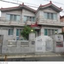 사파동239 이미지