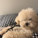 몽크의 아뜰리에 이미지