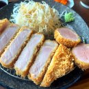 카츠닉 이미지