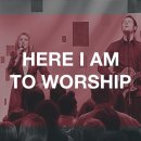 영어찬양 Here I Am To Worship 이미지