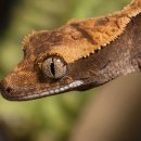 시지동물병원 이미지