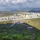 식송농장 이미지