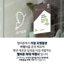 한국조이투어 이미지