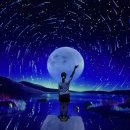 짐엑스 신사시장점 | 강원도 속초 가볼만한곳 뮤지엄엑스 올데이 속초패스 할인