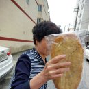 세진베이커리