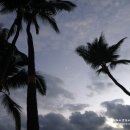 일주농장 이미지