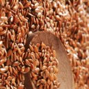 사우로3 이미지