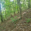 강림면331 이미지