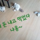 재우해양수산 이미지