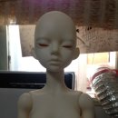 더바디스위치 이미지