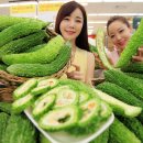 여주