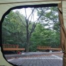 만인산정육점 | 8월일기, 혼자서 다녀온 대전캠프닉(남이자연휴양림)