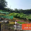 내곡동412 이미지