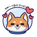 T우주패스🪐 우리집 댕댕이 케어 끝판왕 국개대표 🐶 혜택