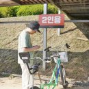 금강신관공원 2 | 충남 공주 여행 금강신관공원 미르섬 무료 자전거 샤스타데이지 명소