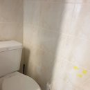 다지안포레스트힐 이미지