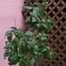 도아건설(주) 이미지