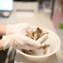 대안한의원 이미지