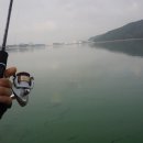 용인조정경기장 이미지