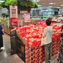 롯데마트 이미지