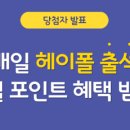 헤이 헤이 이미지