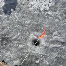 88낚시 | 2026 양평 빙어축제 정보｜백동낚시터 얼음낚시 준비물·입장료·아이와 방문 후기