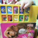 멍멍타요 이미지