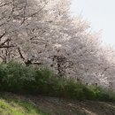 양평1보행육교 이미지