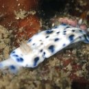 작은한개 이미지